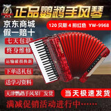 鹦鹉（YINGWU）鹦鹉键盘手风琴三四排簧老字号手风琴初学入门演奏厂家直接发货 120贝斯4排簧9968红色