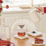 泰摩进阶手冲咖啡壶套装 磨豆机温控壶咖啡器具男女生礼物生日礼盒 进阶型套装-【栗子C3S|哑光白】