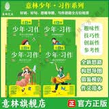 意林18周年纪念书ABCD全4册初中版全套 经典珍藏本读者文摘 初高中生作文素材课外阅读文学热点文章课外书 20周年青少年励志阅读套装书 意林少年习作（套装4本）
