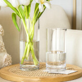 foojo玻璃花瓶富贵竹干花插花摆件水培植物花器20cm直筒款