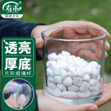 寿禾 水培玻璃杯花盆加厚透明植物插花容器 10*10cm圆形水培玻璃瓶