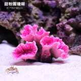 异景园 仿真珊瑚礁石鱼缸造景假山贝壳假珊瑚鱼缸装饰水族箱海水缸摆件 甜圈粉珊瑚