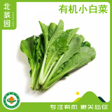 北菜园有机小白菜250g火锅食材有机新鲜蔬菜  【进店多样加购】生鲜