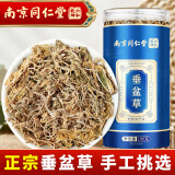 丽天承 南京同仁堂 垂盆草【高品质】正宗锤盆草食用泡茶干货100g/罐搭中药材