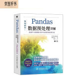 pandas数据预处理详解 chatgpt聊天机器人python机器学习和数据分析中高效的预处理方法 人工智能深度学习大数据时代高性能计算python数据分析数据科学