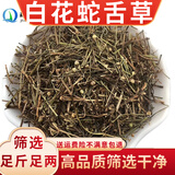 珈祁堂 白花蛇舌草中药材 新货泡水喝 别名蛇总管 二叶葎 白花十字草 白花蛇舌草250克【新货】