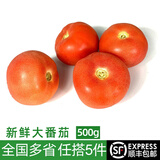 绿食者新鲜大番茄500g 生吃沙瓤西红柿炒蛋食材农家蔬菜