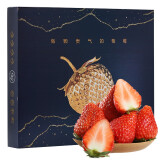 农家新语 丹东99红颜奶油草莓 28颗特大果蓝金礼盒 新鲜水果 空运直达