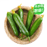 【产地直采】水果黄瓜 约400g