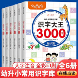 识字大王3000字全6册 幼儿园大中小班识字启蒙认字卡片神器儿童宝宝看图学字早教书由易到难阶梯训练一日一练汉字组词笔画笔顺偏旁阅读手册