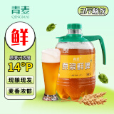 青麦精酿 原浆啤酒14度 鲜啤酒扎啤 全麦生啤 黄啤1.5L大桶装青岛特产 1500mL 1桶 14°P鲜黄啤