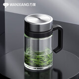 万象（WANXIANG）单层玻璃杯水杯泡茶杯子带滤网老板办公室口杯带手柄把手防烫防漏 U219-钛银色-500ml