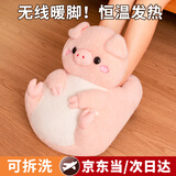 栢启歆暖脚宝充电暖脚神器家用取暖器快速加热家用保暖冬季暖宝宝毛绒暖脚器女神节生日礼物送父母男女生 粉色 【粉猪】