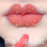 兰奕不沾杯不掉色的保湿持久防水口红持久囗 红大牌正品豆沙色保湿 504豆沙