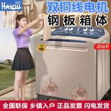 海鸥（SEAGULL）20公斤双桶不锈钢内桶半自动洗衣机纯铜电机双缸杠大容量家用商用经久耐用洗脱分离 20公斤铜电机【钢板箱体】支持强洗
