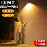 锐易太阳能户外庭院灯家用花园别墅阳台人体感应室外门牌大门照明壁灯 高亮一体式-暖光（2个装）