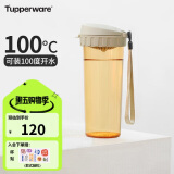 特百惠（Tupperware）茶韵500ML塑料杯 男女学生便携办公用水杯子大容量双饮口 奶茶棕