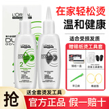 欧莱雅（LOREAL）烫发水冷烫药水男女士卷发纹理烫锡纸烫刘海大波浪家用自烫理发店 【送锡纸烫工具】受损发质-烫发水200ml