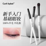 CARLI BYBEL眼影刷套装动物毛化妆刷散粉腮红刷化妆师专业细节刷便携晕染 基础眼影刷 3支 【新手】