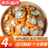 弹指鲜生扇贝肉 新鲜冷冻 大号部分带黄去壳去沙 大号4斤