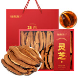 福东海 灵芝片200克礼盒 灵芝整朵切片灵芝茶泡酒料送长辈领导父母