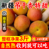 新疆小红杏吊干杏阿克苏新鲜水果杏子甜杏特产当季整箱胜小白杏 大果 3斤 手提框-送礼佳品