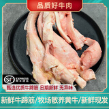 新鲜牛蹄筋黄牛蹄筋生牛筋牛肉筋生鲜黄牛大筋干净牛脚筋 2斤新鲜干净无泡发