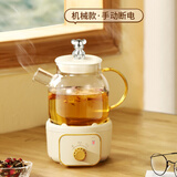 善器者迷你多功能养生壶小型办公室mini家用2025新款煮茶器煮茶壶炖煮壶烧水壶耐热全玻璃花茶壶一人用 机械款 0.6L