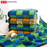 金号（KING SHORE）纯棉毛巾2条装加厚成人洗脸情侣男女柔软吸水洗脸面巾 字母方块蓝*1绿*1