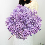 匠心绽放绣球永生花天然干花真花家居软装造景民宿装饰摆件DIY花紫色20270
