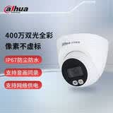 dahua大华摄像头400万双光全彩夜视定焦海螺型家用商用室内外POE供电 DH-P40T1-A-IL-3.6mm