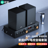 索爱（soaiy）CK-M501庭影院KTV音响客厅家用电视唱电木吉他乐器音箱商用门店卡拉ok全套专业功放音箱话筒