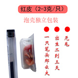意牌冰冻乳鼠小白鼠小老鼠崽独立包装喂蛇红皮粉皮幼鼠 红皮（2-3克/只） 8只发顺丰