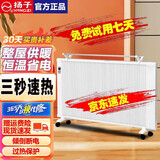 扬子电暖器电暖气取暖器家用40-50平米大面积节能省电客厅卧室全屋速热电暖气片壁挂式落地式电暖器 1000W智能遥控【适用12平方】可挂墙壁