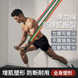 OUZEY拉力绳弹力绳器锻炼门上健身器械运动多功能弹力带练背胸肌开肩男 14件套+联系客服领取训练教程 【升级款】可调节拉力绳-225磅