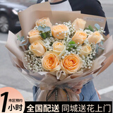 花西田全国满天星玫瑰真花束生日鲜花速递同城配送送女友礼物 11朵香槟玫瑰花束（新品）