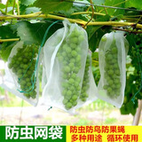 瓜果防虫袋网袋育果袋水果套袋防果蝇葡萄套袋苹果梨套袋 35×25厘米/50个/可装葡萄、茄子
