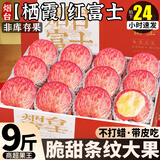 晟容果蔬烟台苹果栖霞红富士【多地次日达】脆甜时令新鲜平果中秋水果礼盒 精选果丨净4.5-5斤装【80%选择丨超值推荐】 7A级【精品大果】单果70-75mm
