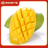 静益乐源云南大青芒 青皮芒果 新鲜水果 净重8.5-9斤单果150g+