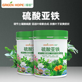 绿盼硫酸亚铁花用水溶肥料颗粒喜酸性植物栀子杜鹃茶花三角梅400g*2