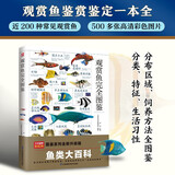 观赏鱼完全图鉴   集欣赏与实用于一体，想要认识和饲养观赏鱼，有这一本就够了