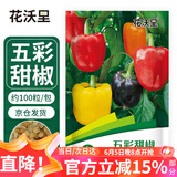 花沃里五彩甜椒100粒/包 蔬菜种子盆栽阳台种菜土四季菜籽阳台庭院田间