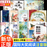 国际大奖儿童文学获奖小说注音版 广东新华推荐一年级课外阅读必读书籍7-10岁世界名著 小学生拼音读物二三年级课外丛书 2.国际大奖阅读2全10册