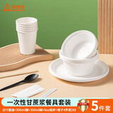 尚烤佳（Suncojia）一次性餐具套装 野餐餐具纸碗纸盘纸杯筷子勺子5套装