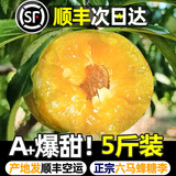 骄瑰正宗贵州六马蜂糖李子 顺丰空运-贵州发货 脆甜脱骨李子水果 3斤（40-45mm）精品中果 顺丰空运