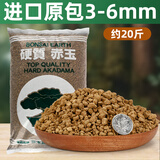 CPAI日本进口赤玉土三本线正品多肉专用土盆景专用铺面硬质营养土 进口原包赤玉土3-6mm【约20斤】 正品进口假一赔十