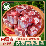 荤八厨 内蒙古牛尾骨500g 新鲜牛肉生鲜牛尾巴宝宝煲汤冷冻烧烤火锅食材