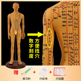 蓝蝶52CM中医针灸穴位人体模型十二经络图铜人体穴位模型人全身小皮人 62CM铜男硬模超清（手可转） 加大