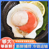 熠兴记大扇贝超级大号9-10cm直径虾夷扇贝蒜蓉粉丝蒸扇贝鲜活扇贝日月壳 16只超值装