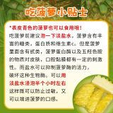 鲁禧新鲜地菠萝黄梨 热带水果孕妇水果 当季叶酸水果采摘产地直发 破损险（非实物）